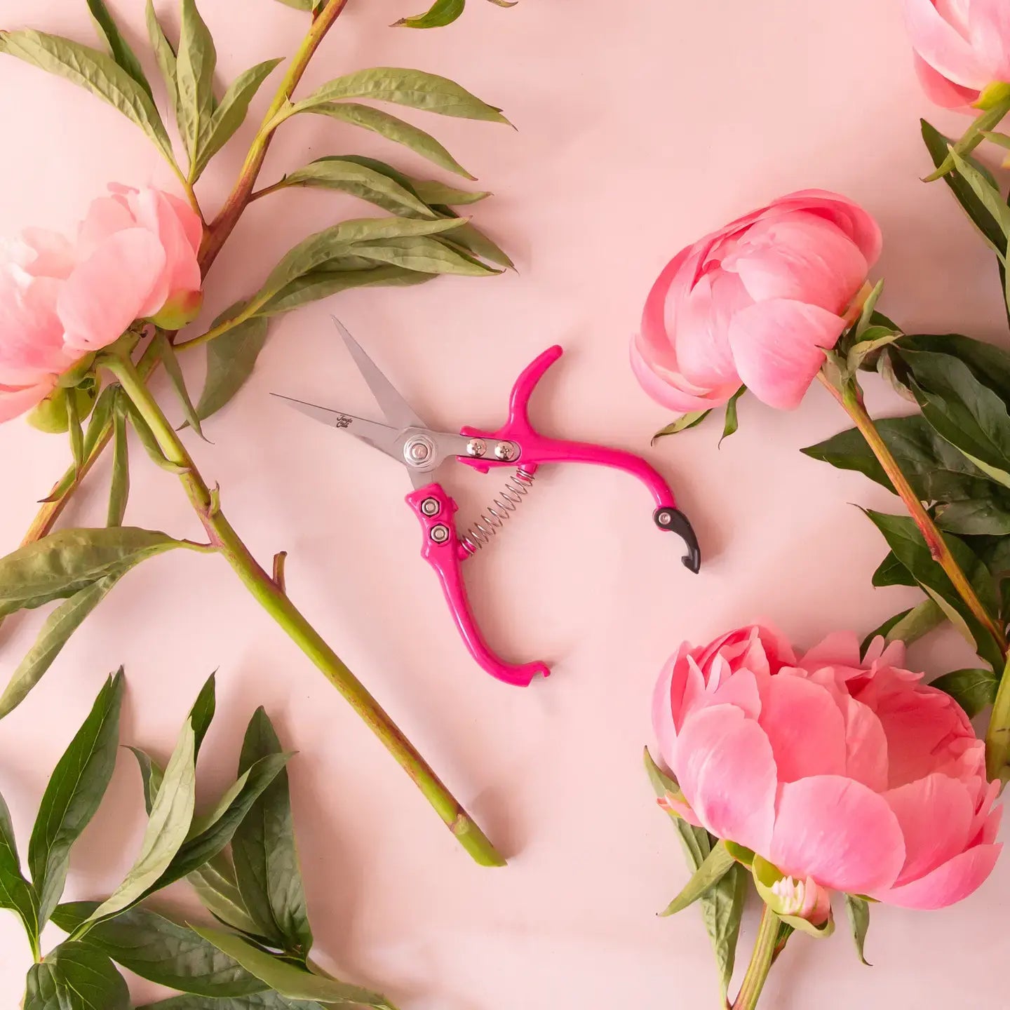 Houseplant Pruning Shears Hibiscus Handles