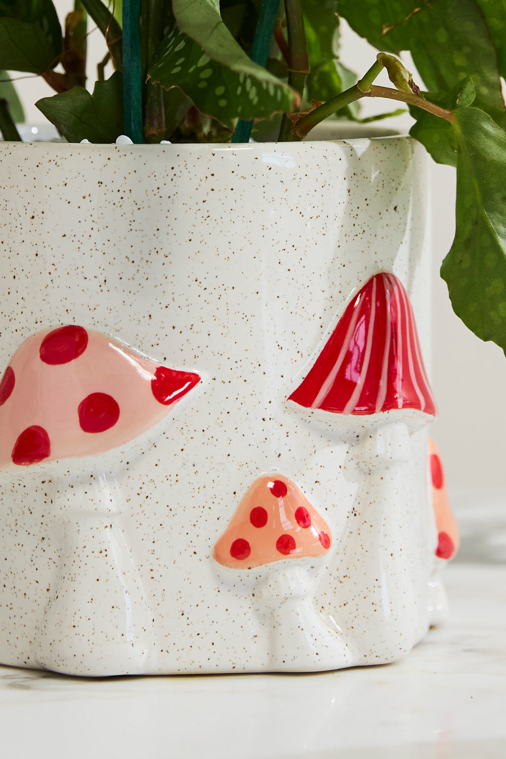 Cheerful Mushroom Pot 5 inch