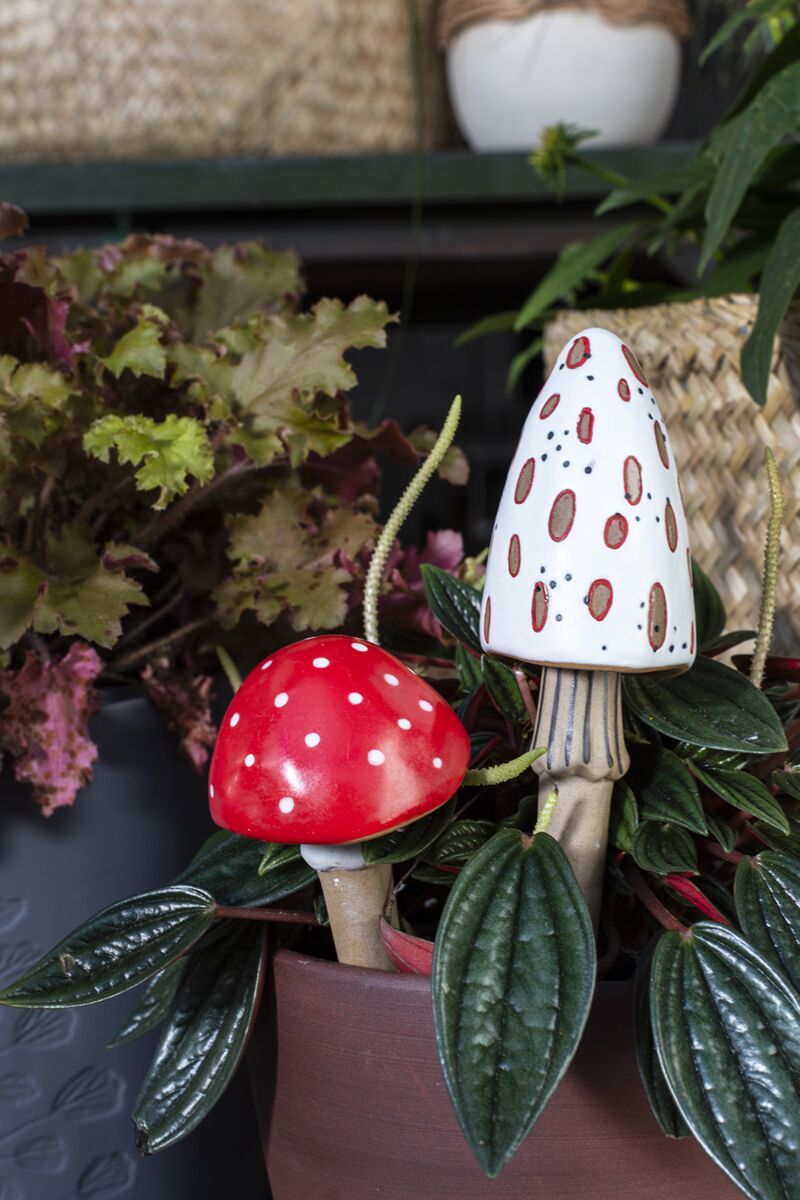 Spore White Mushroom Plant Stick