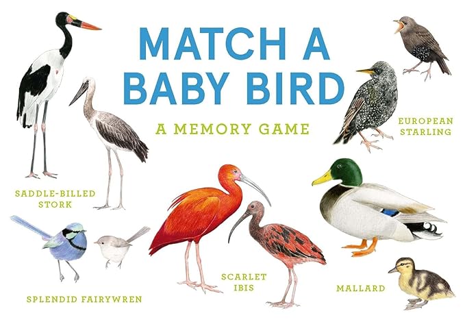 Match a Baby Bird Memory Game