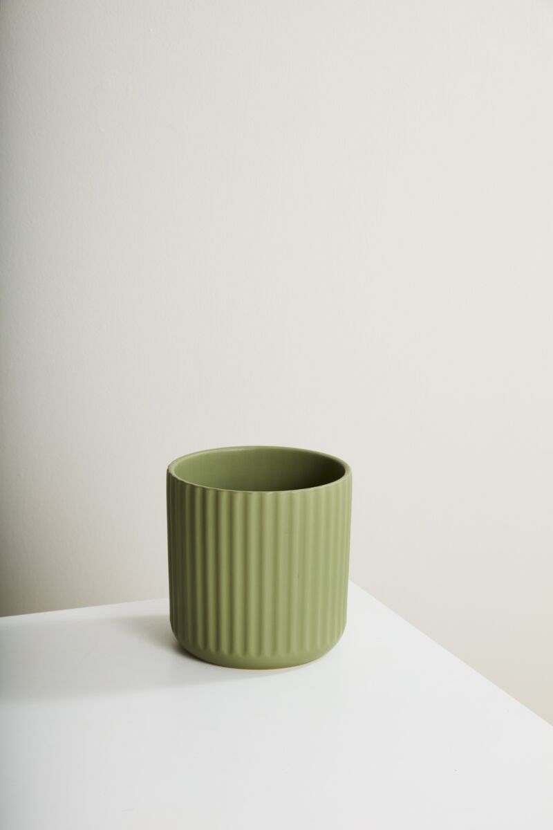 Beam Green Pot