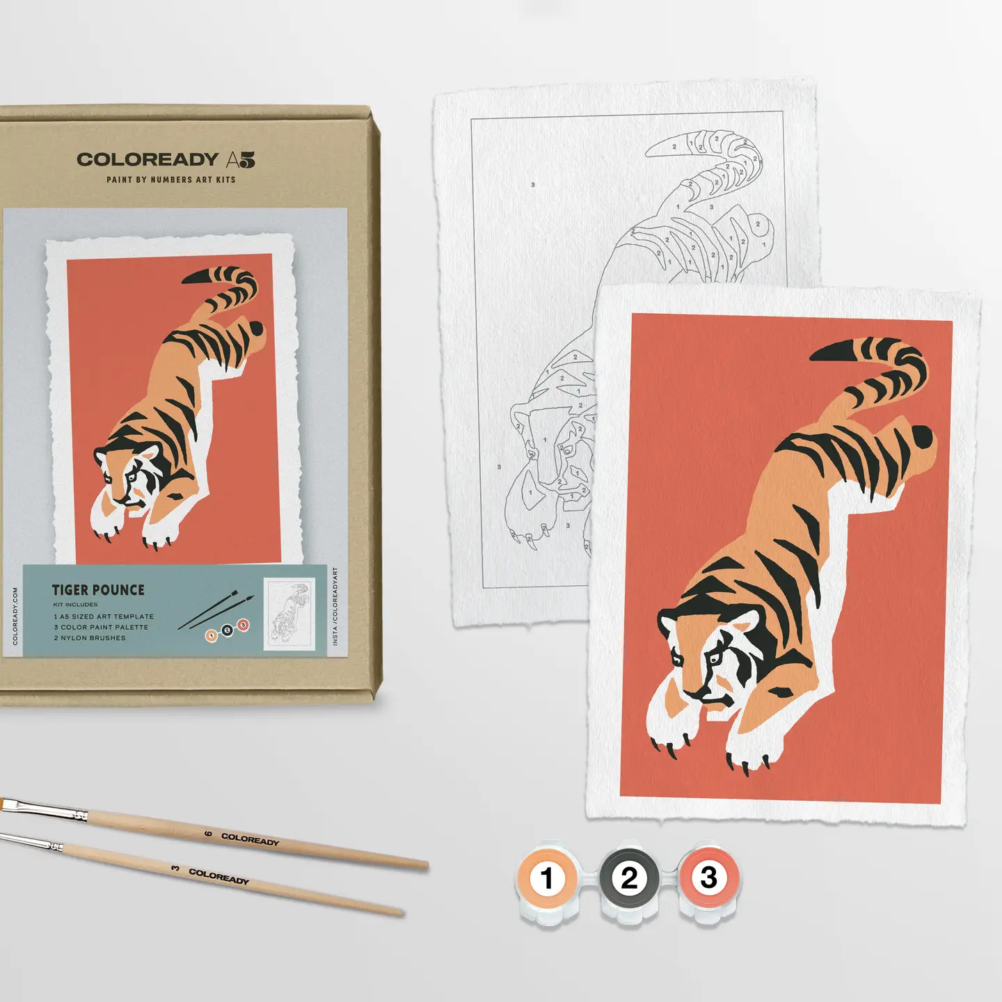 Tiger Study Modern Paint by Numbers Kit