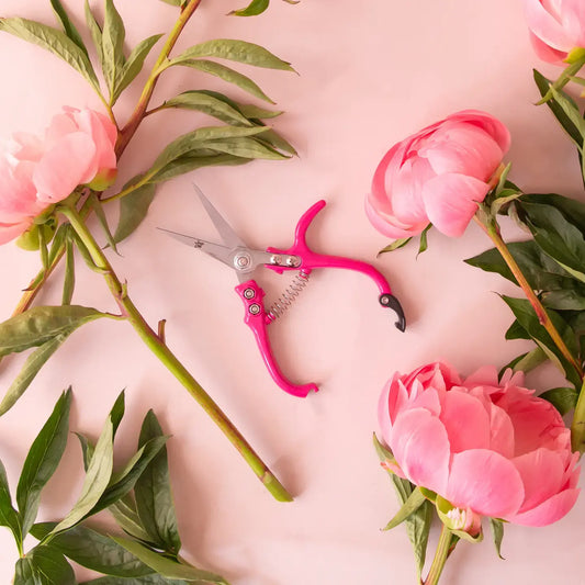 Houseplant Pruning Shears Hibiscus Handles