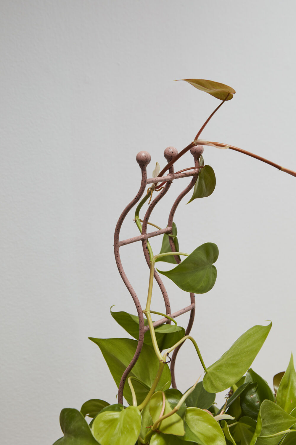 Menil Plant Stake Pink