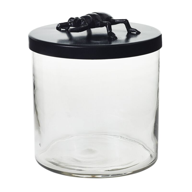 Ology Beetle Glass Canister 8 inch