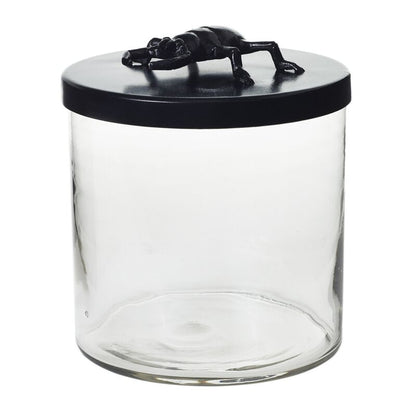 Ology Beetle Glass Canister 8 inch