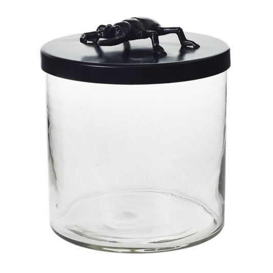 Ology Beetle Glass Canister 8 inch