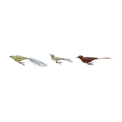 Mercury Glass Bird Clip Ornament Assorted