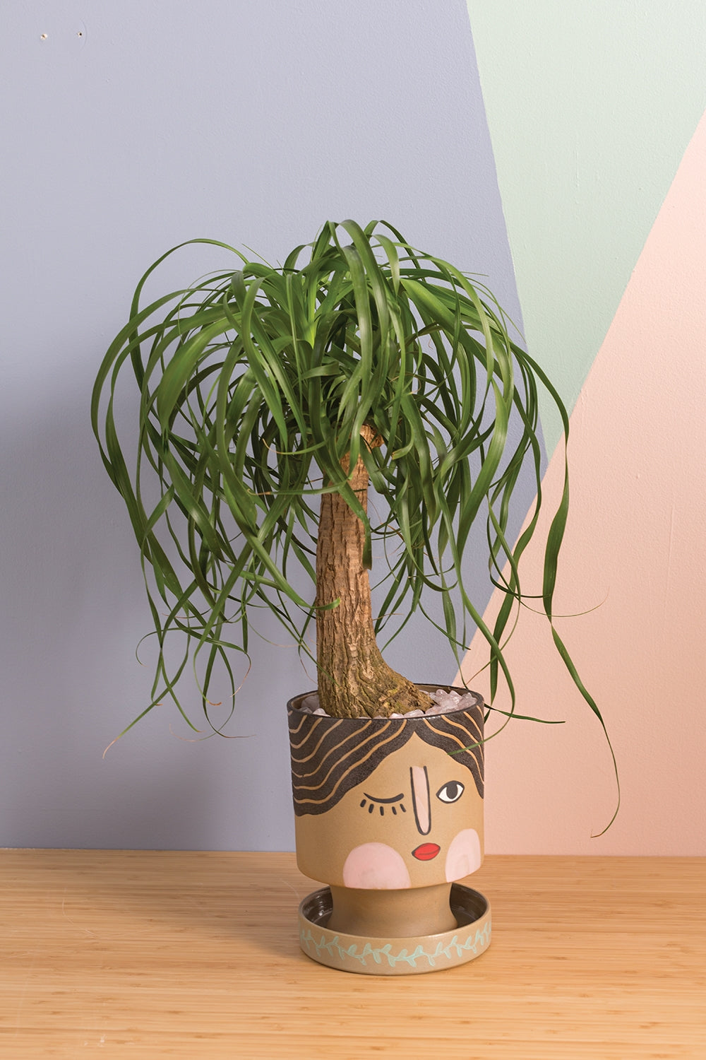 Etta Winking Face Pot w Saucer 6 inch