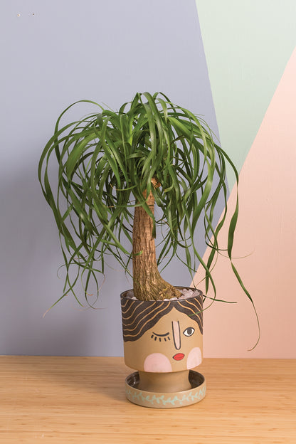 Etta Winking Face Pot w Saucer 6 inch