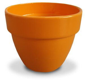 Levante Pot 2 inch