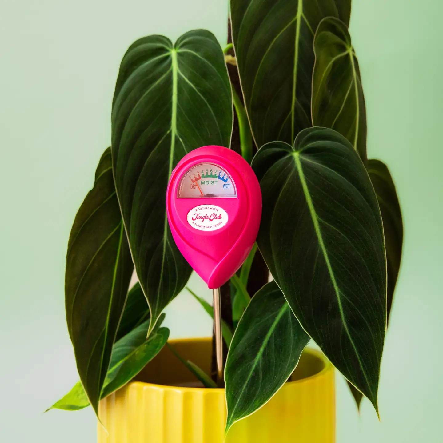 Hibiscus Moisture Meter