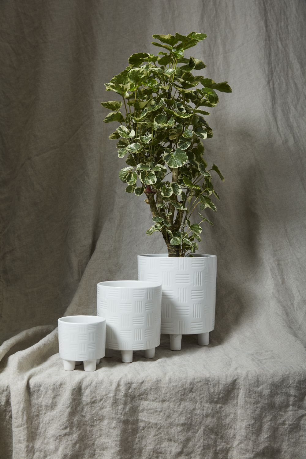 Morrow Footed Pot 5 inch