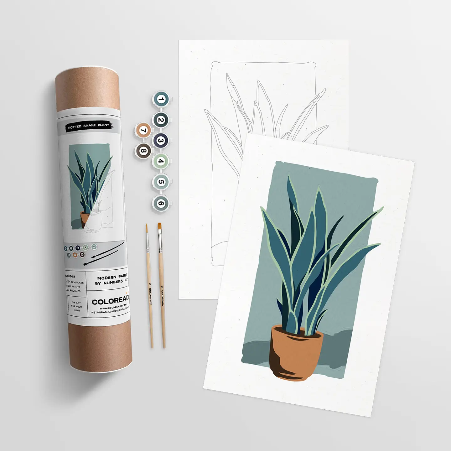 Snake Plant Modern Paint by Numbers Kit