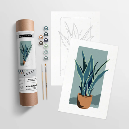 Snake Plant Modern Paint by Numbers Kit