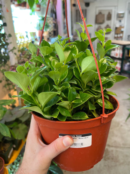 Lipstick-Mona Lisa 6" HB