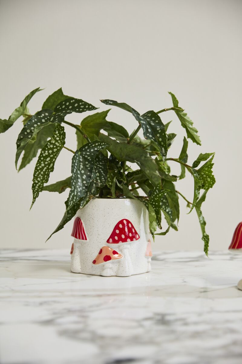 Cheerful Mushroom Pot 5 inch