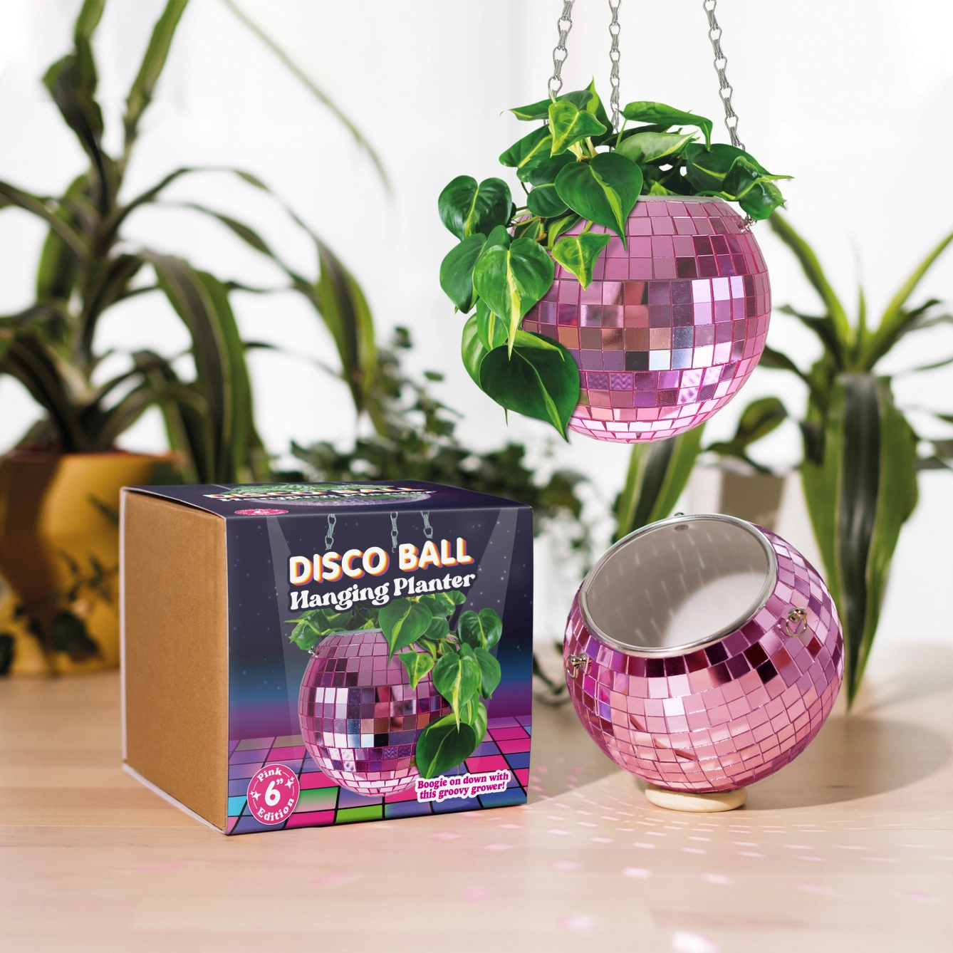 Pink Disco Ball Hanging Pot 6 inch