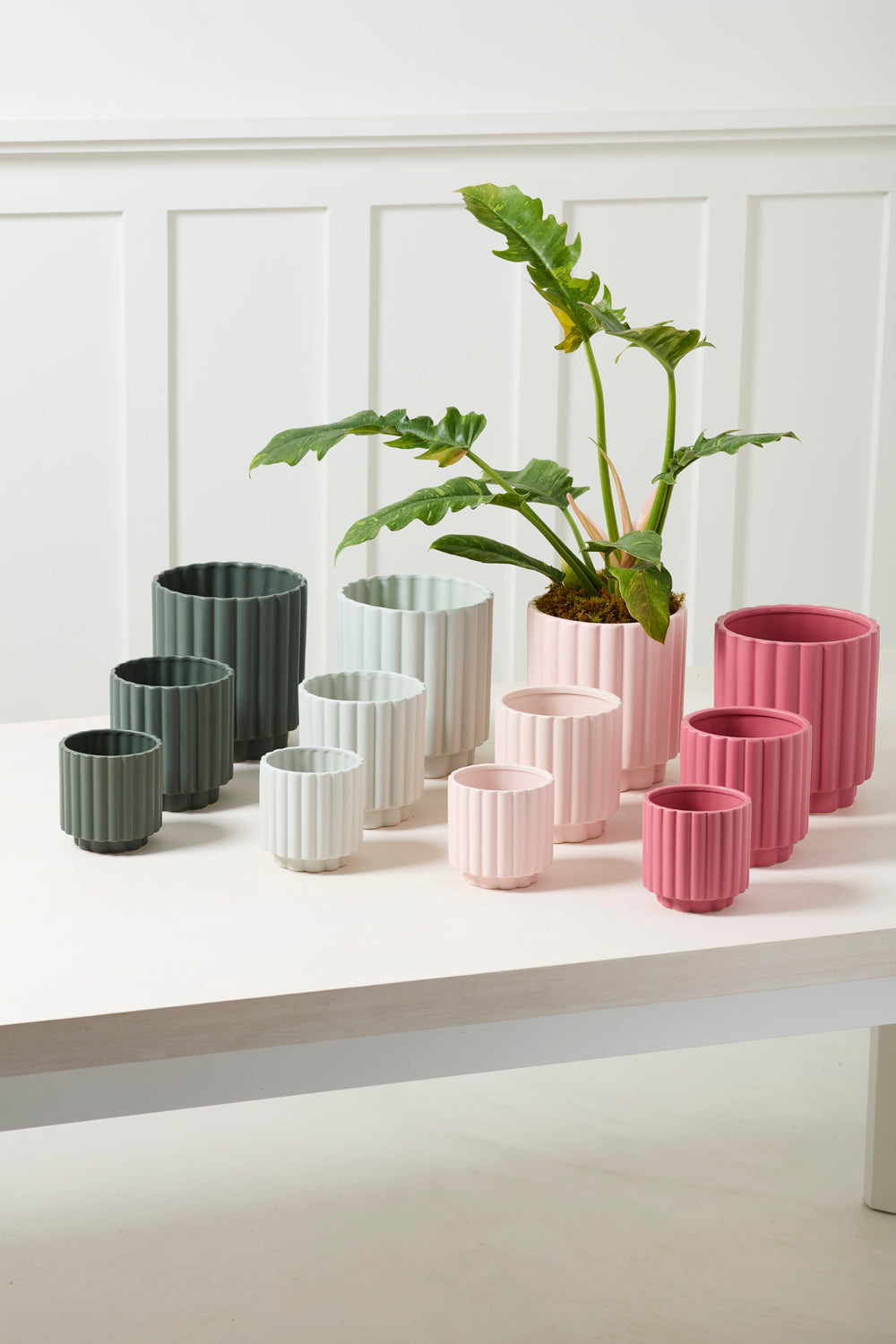 Carmen Pot Light Blue 4 inch