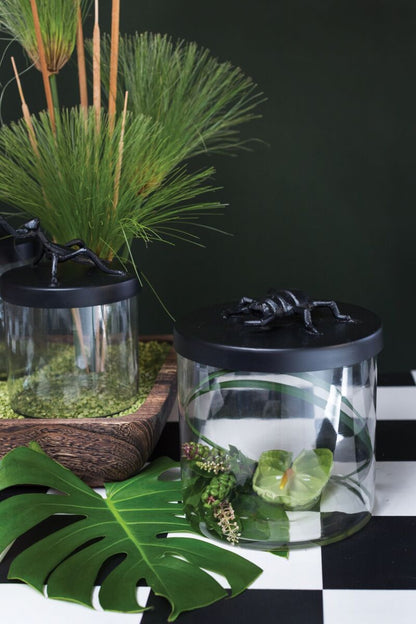 Ology Beetle Glass Canister 8 inch